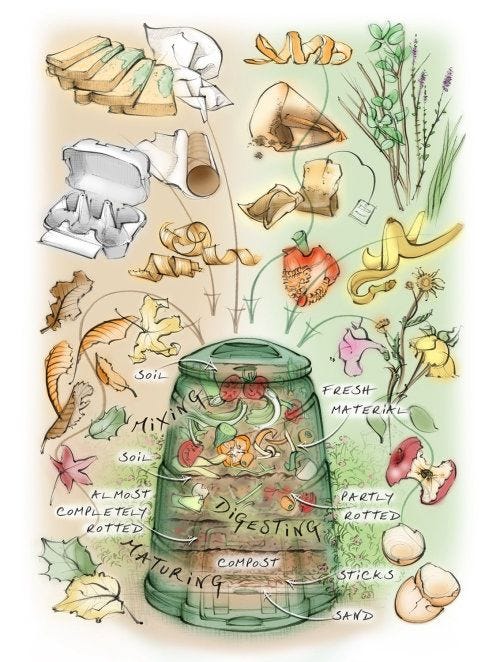 This may contain: an image of a jar full of mushrooms and other things to see on the page