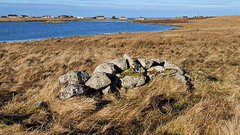 Steinacleit