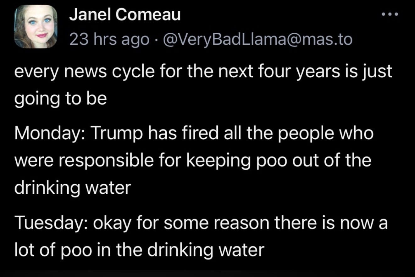 A somewhat joking post by Janel Comeau which says every news cycle for the next four years is just going to be Monday: Trump has fired all the people who were responsible for keeping poo out of the drinking water Tuesday: okay for some reason there is now a lot of poo in the drinking water