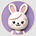 닥터투즈's avatar
