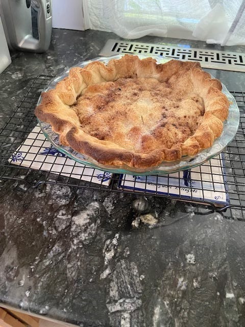 elfbar nachfüll pod läuft aus Blueberry Pie - an American classic! main image 0