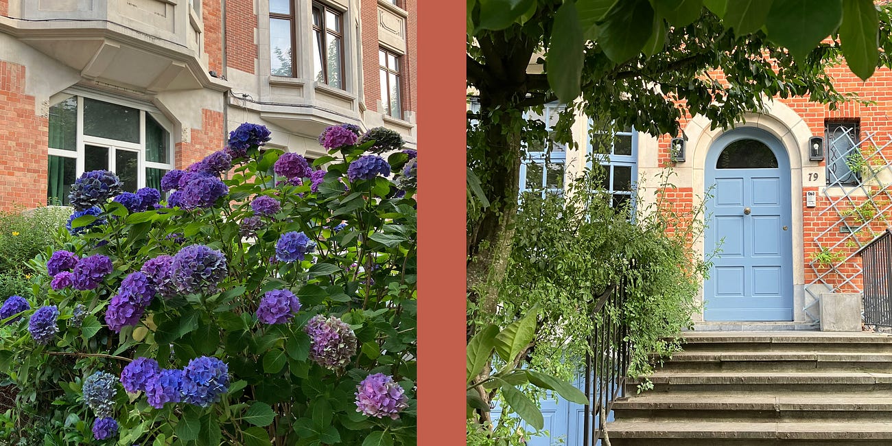 A Story of Colour Walks and Healing