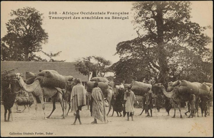 The African origins of Cola: Long distance Trade in pre-colonial West ...