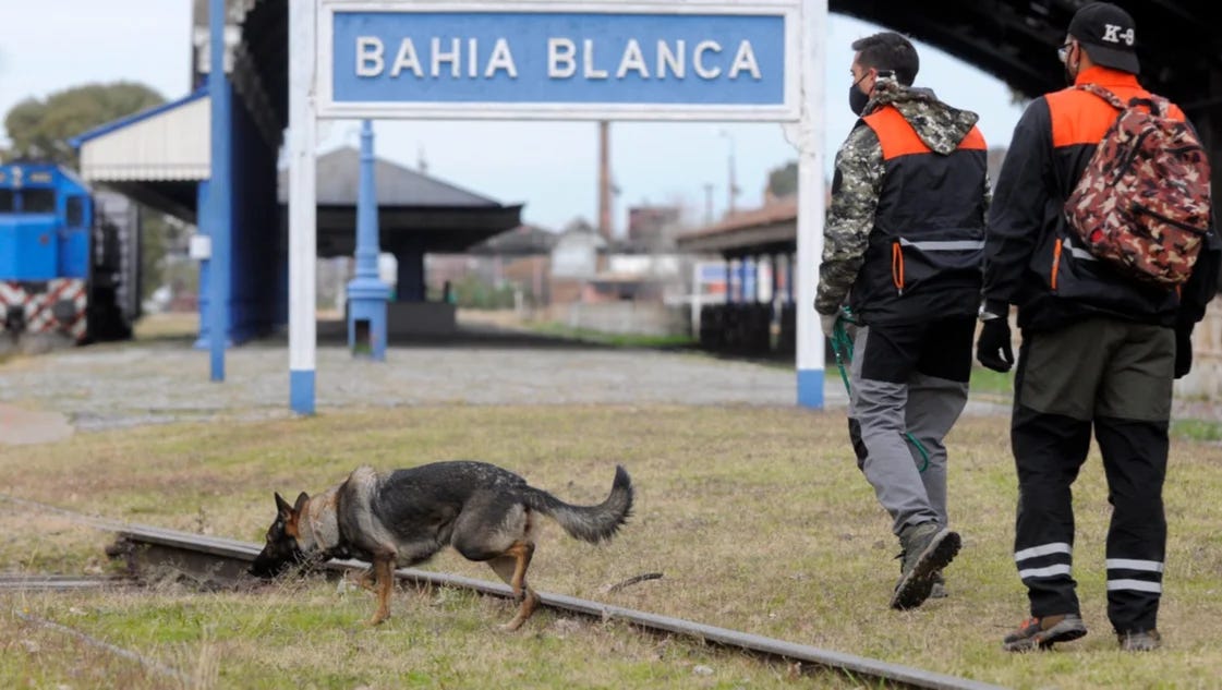 Perros Detectores K9: mucho trabajo y necesidad de colaboradores
