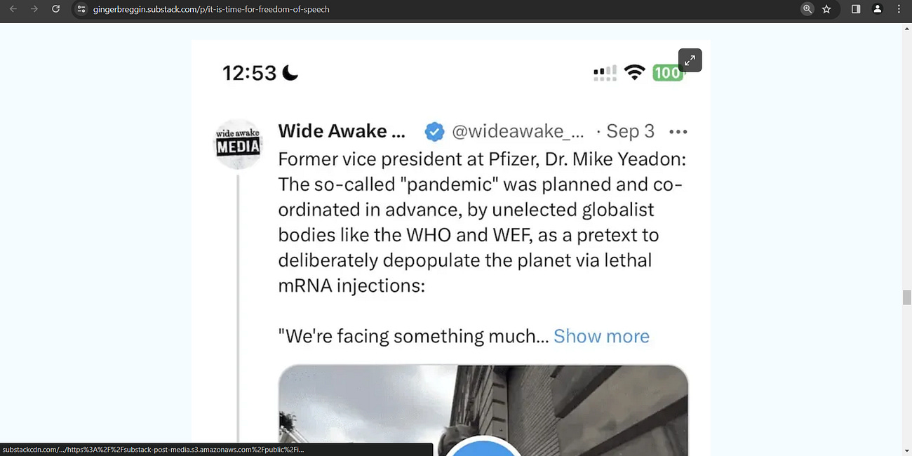 Excellence by DR. PETER AND GINGER BREGGIN: 'It Is Time for Freedom of Speech in the Freedom Movement'; We need to be disciplined enough to be present with the discomfort that comes with disagreement 