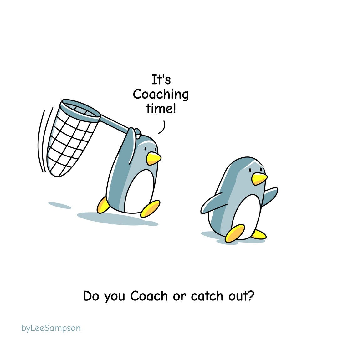 A leadership cartoon featuring penguins highlighting the difference between coaching and catching out by Lee Sampson.