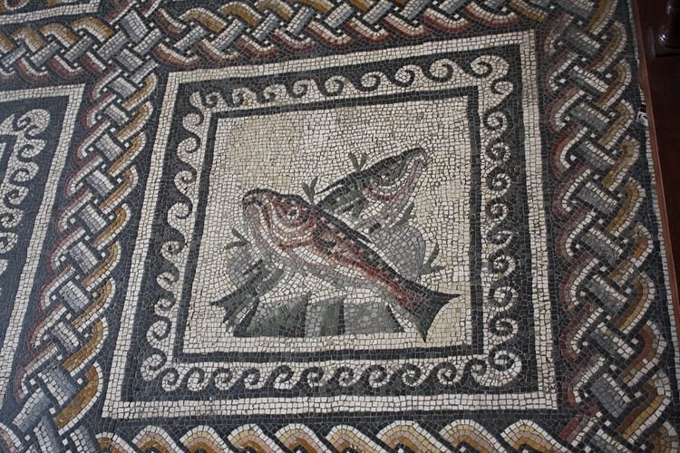 Fish, Roman Mosaic Fish, Roman Mosaic