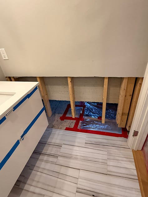 mold remediation