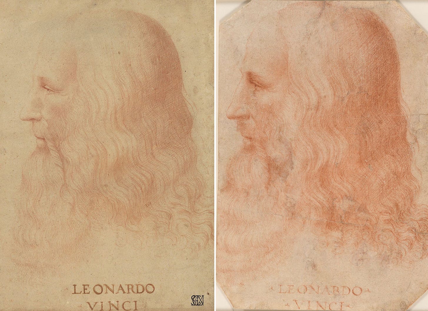 Melzi portrait of Leonardo da Vinci 1515 Melzi portrait of Leonardo da Vinci 1515