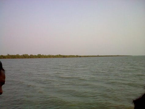 My photo,Sunset,Mangrove Forest,Launch,River Bidyadhari and Mangrove
