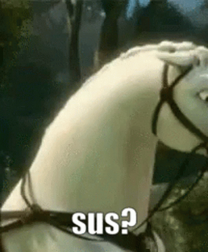 a white horse with a bridle and a caption that says ' sus ? ' on it . a white horse with a bridle and a caption that says ' sus ? ' on it .