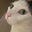 Leeyan's avatar
