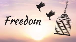 Episode 161: Freedom and Slavery – Let ...