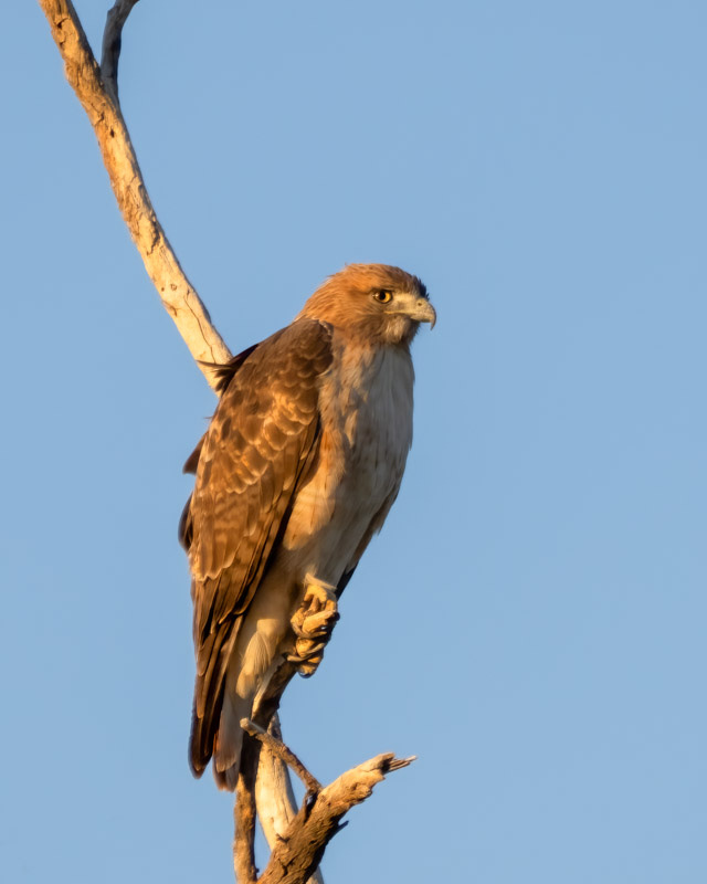 20251116-misc-217-Edit.jpg 20251116-misc-217-Edit.jpg