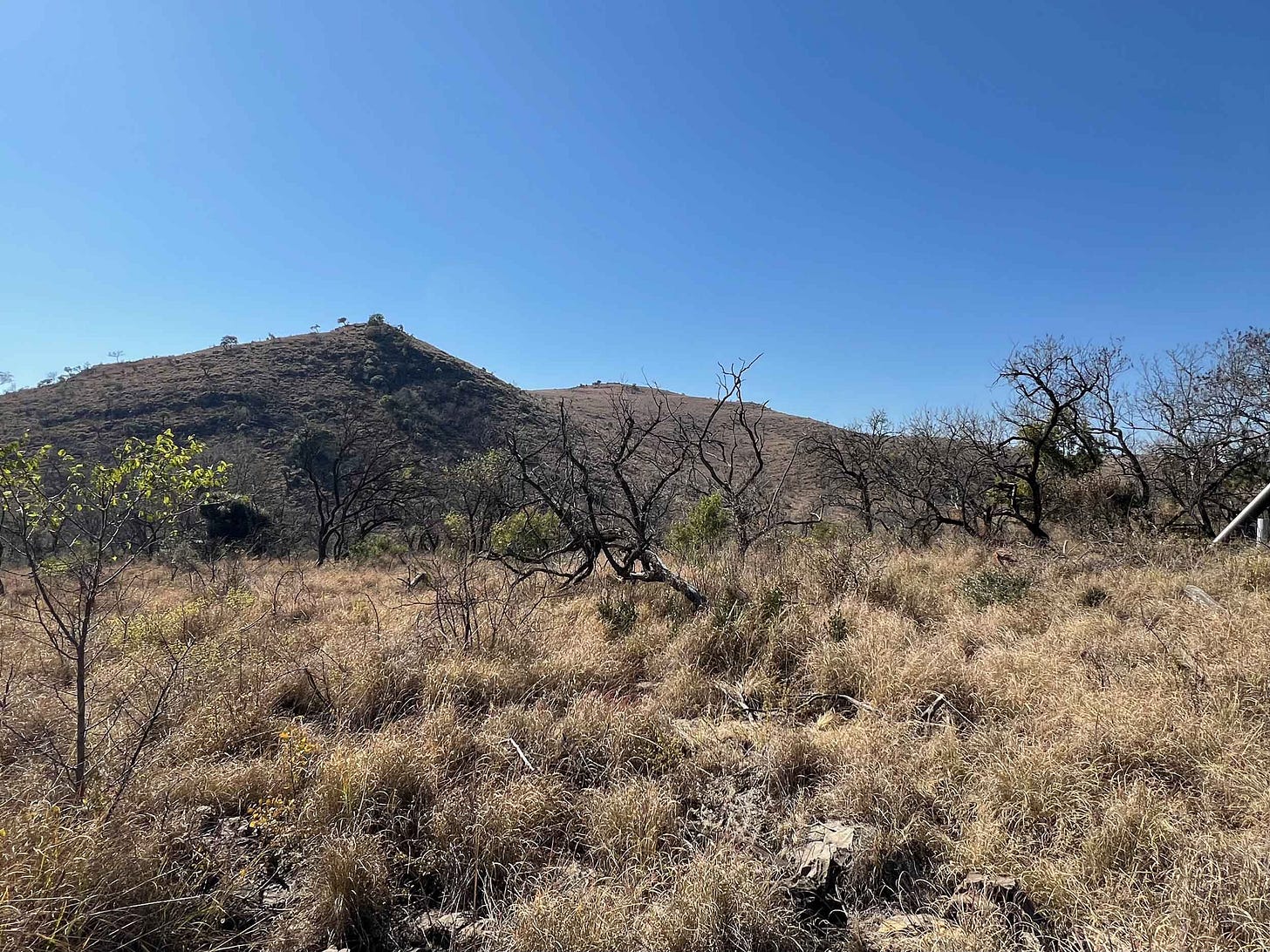 Landscape will hills, trees, and dry grass near the Malapa site