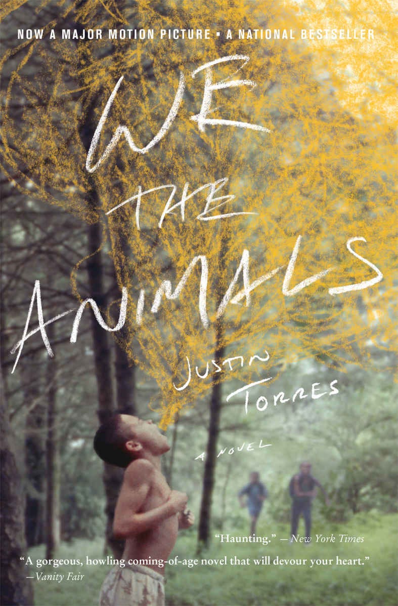 We the animals book by Justin Torres