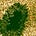 Niall's avatar