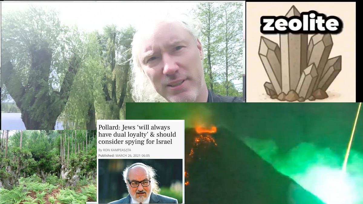 Detox binders. Judaea/Palestine. Neo-Bolshevik Nazi🥸 Basque🇮🇱police. Rothschild MI6; ✊all fronts!