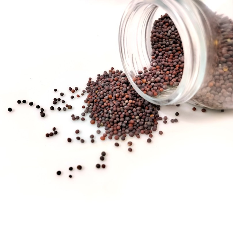 a glass jar filled with black seed on top of a white table a glass jar filled with black seed on top of a white table