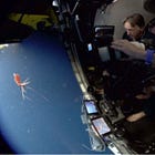 Kirsten Jakobsen and Joachim Jakobsen