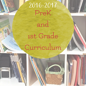 Curriculum for Early Elementary and Preschool Years