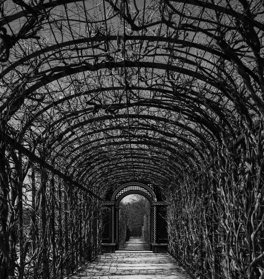 A dark, vine-covered archway path leading to a distant arch.