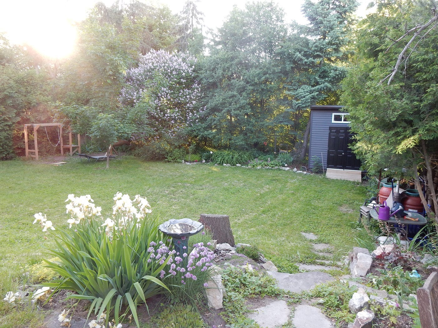 Our backyard coming of age Our backyard coming of age