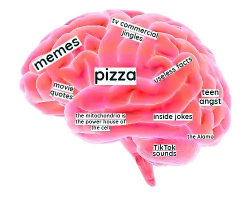 Modelos gratuitos de memes de cérebro | Adobe Express