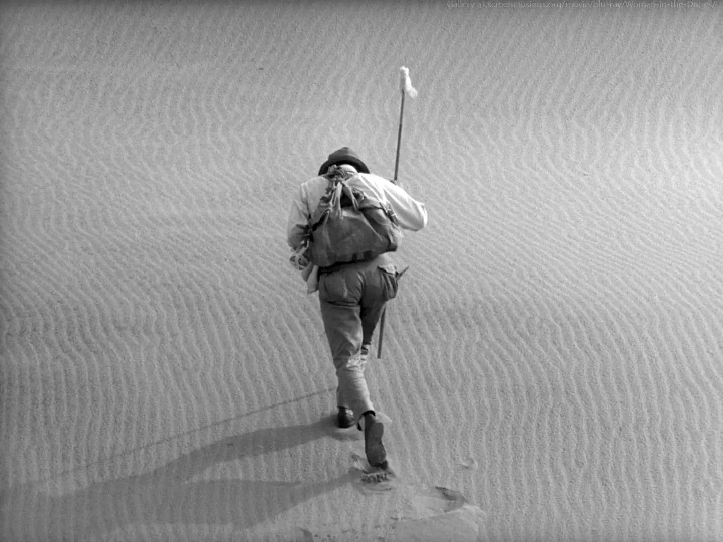 Review | Woman in the Dunes (1964) | MovieSteve Review | Woman in the Dunes (1964) | MovieSteve