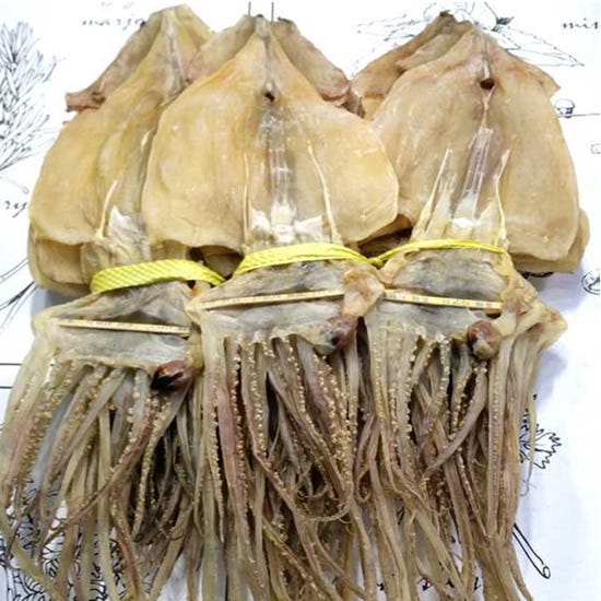 dried squid