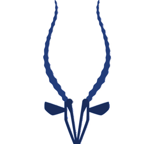 gaZelle Embracing | Embraced