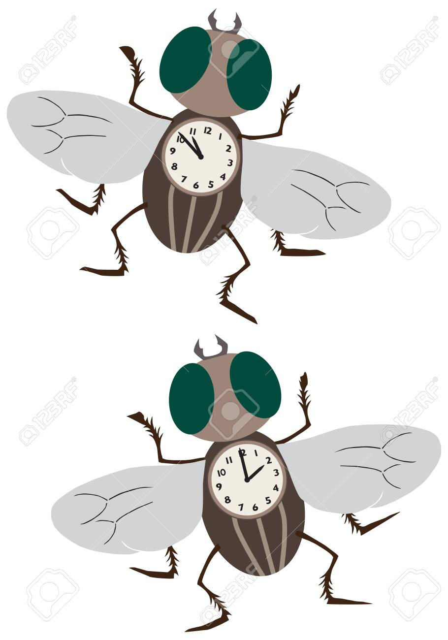 Two time flies are hanging out and having fun - 128027523