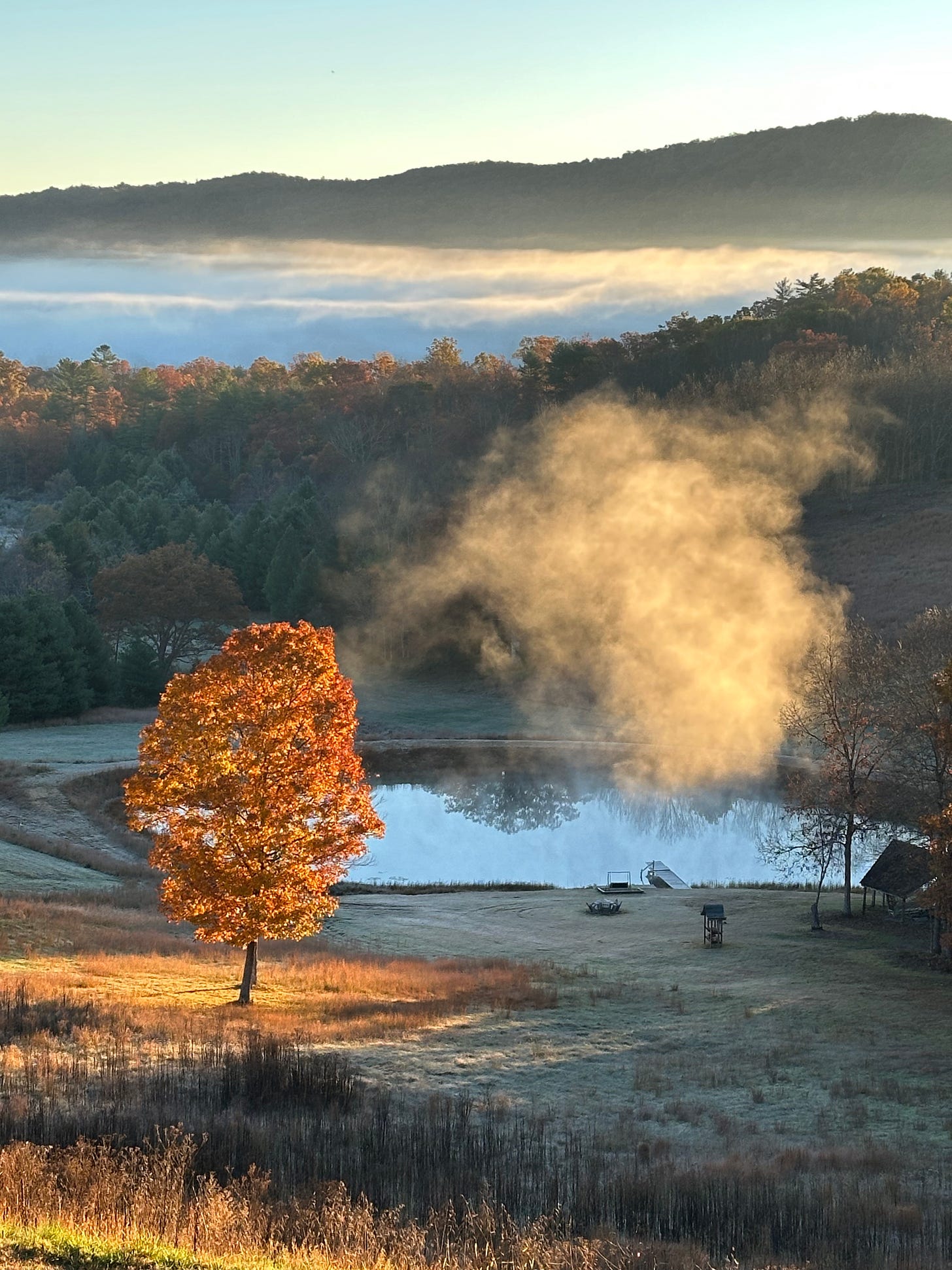 An image of a very golden yellow tree next to a pond, with a cloud next to it, rising from the water, and mountains and mist behind. the sun is rising and making the cloud and tree glow in the light. 