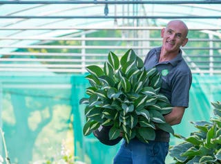 Mr Plant Geek | Substack