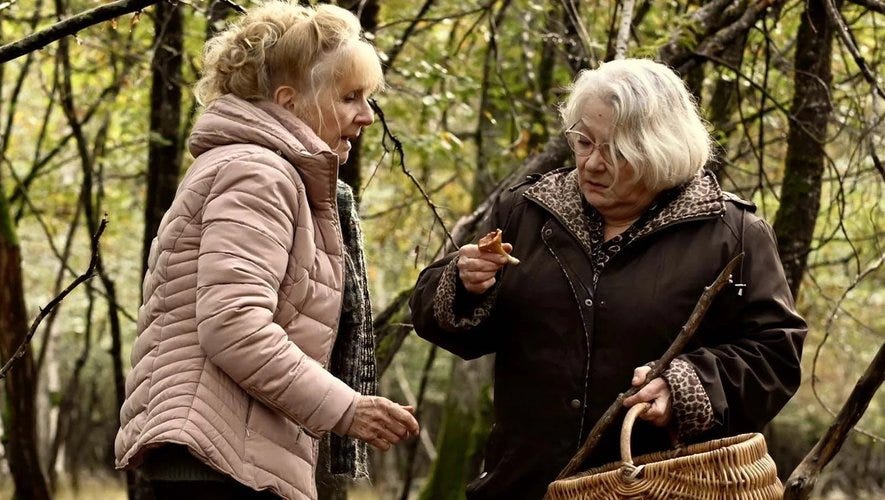 Cinéma - Comment s'en sortir “Quand vient l'automne” ? - lindependant.fr