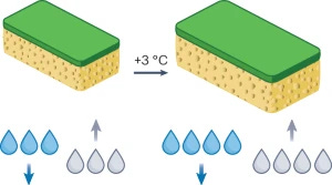 Infographic from a paper by Swain et al in 2025, showing how climate change makes the atmospheric sponge bigger - can suck up more water, can squeeze out more water Infographic from a paper by Swain et al in 2025, showing how climate change makes the atmospheric sponge bigger - can suck up more water, can squeeze out more water