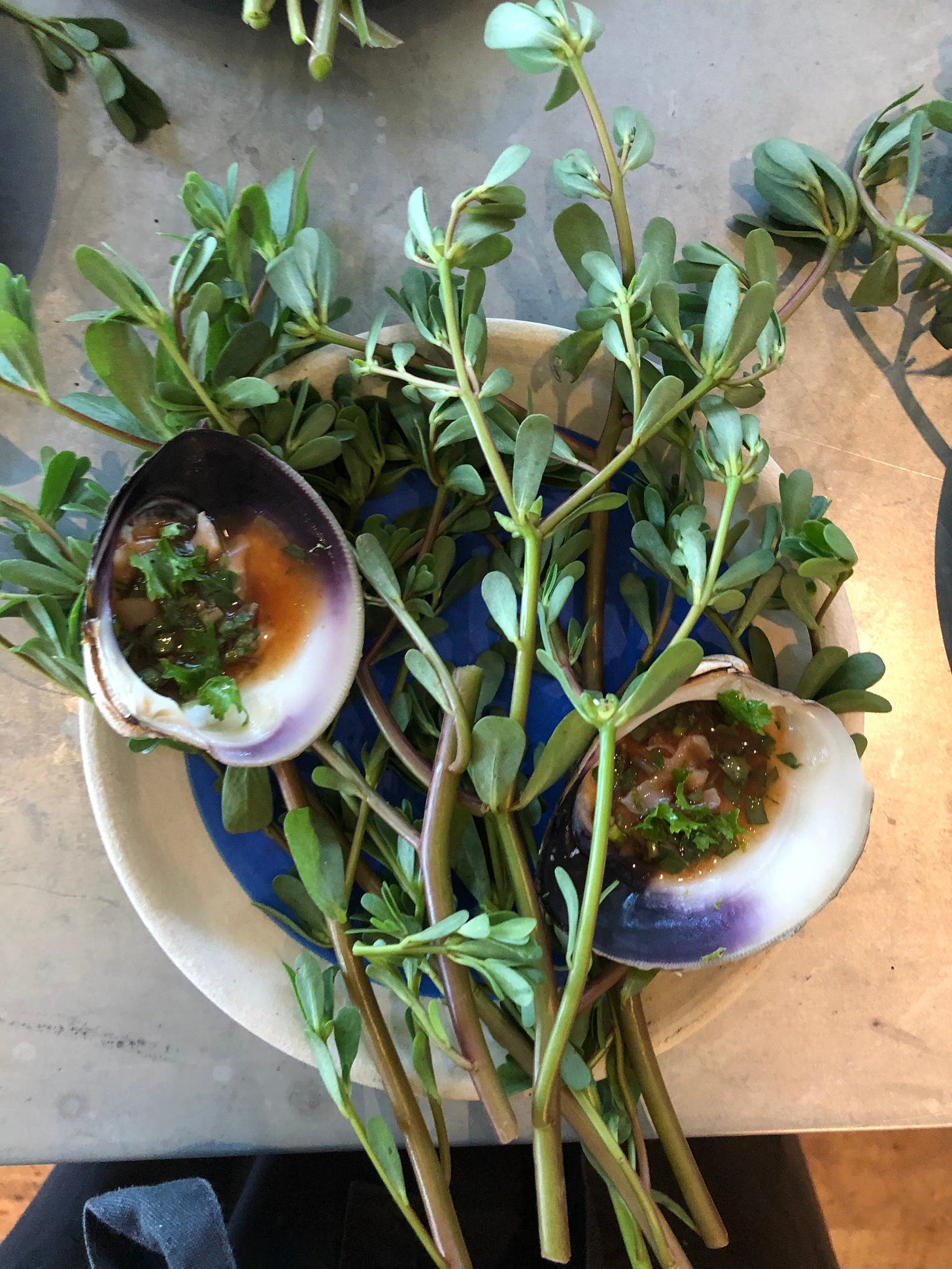 Chopped Cherry stone clam with chile, tomato water, and purslane