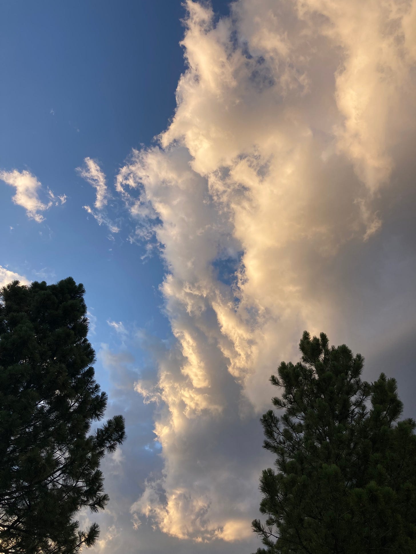 Evening Clouds, 2026-07-16