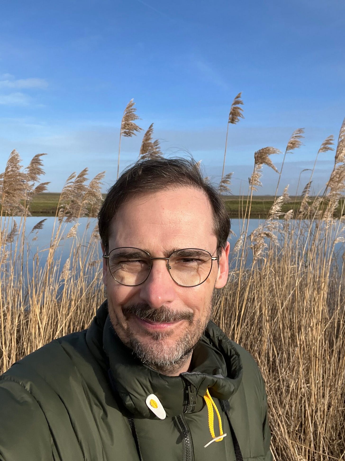 Oostvaardersplassen Amsterdam