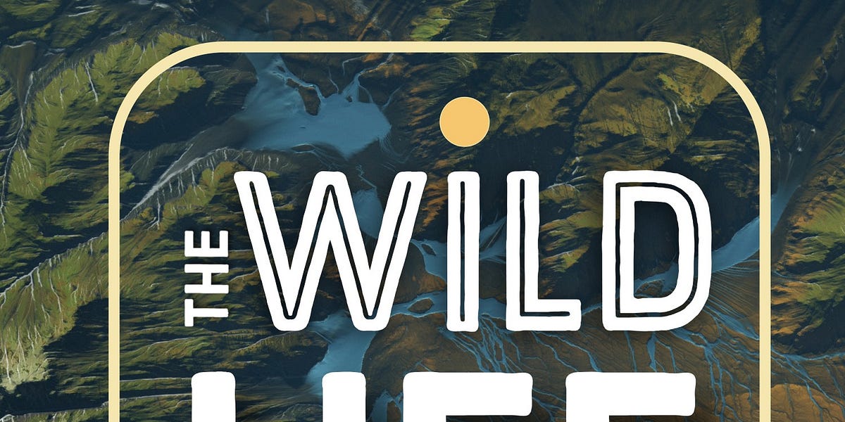 The Birds, the Bees, and the Trees with Vikram Baliga of Planthropology