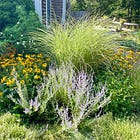 Garden Gram No. 30: Perennial Garden Refresh