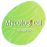 Mycological Memories 