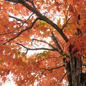 Mindfulness at Work: Start today with one mindful moment