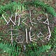 Wicked Folked