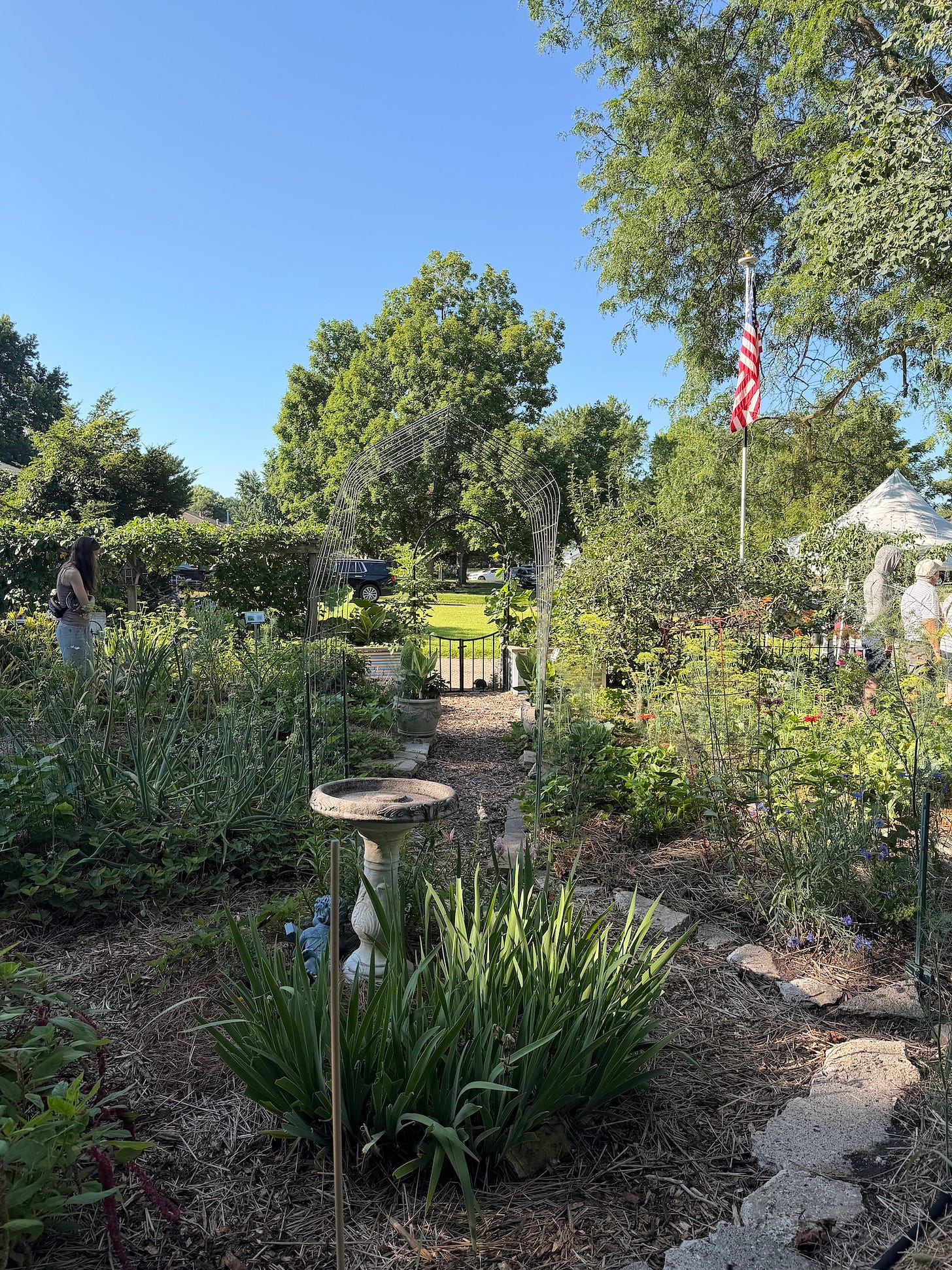 green urban garden space