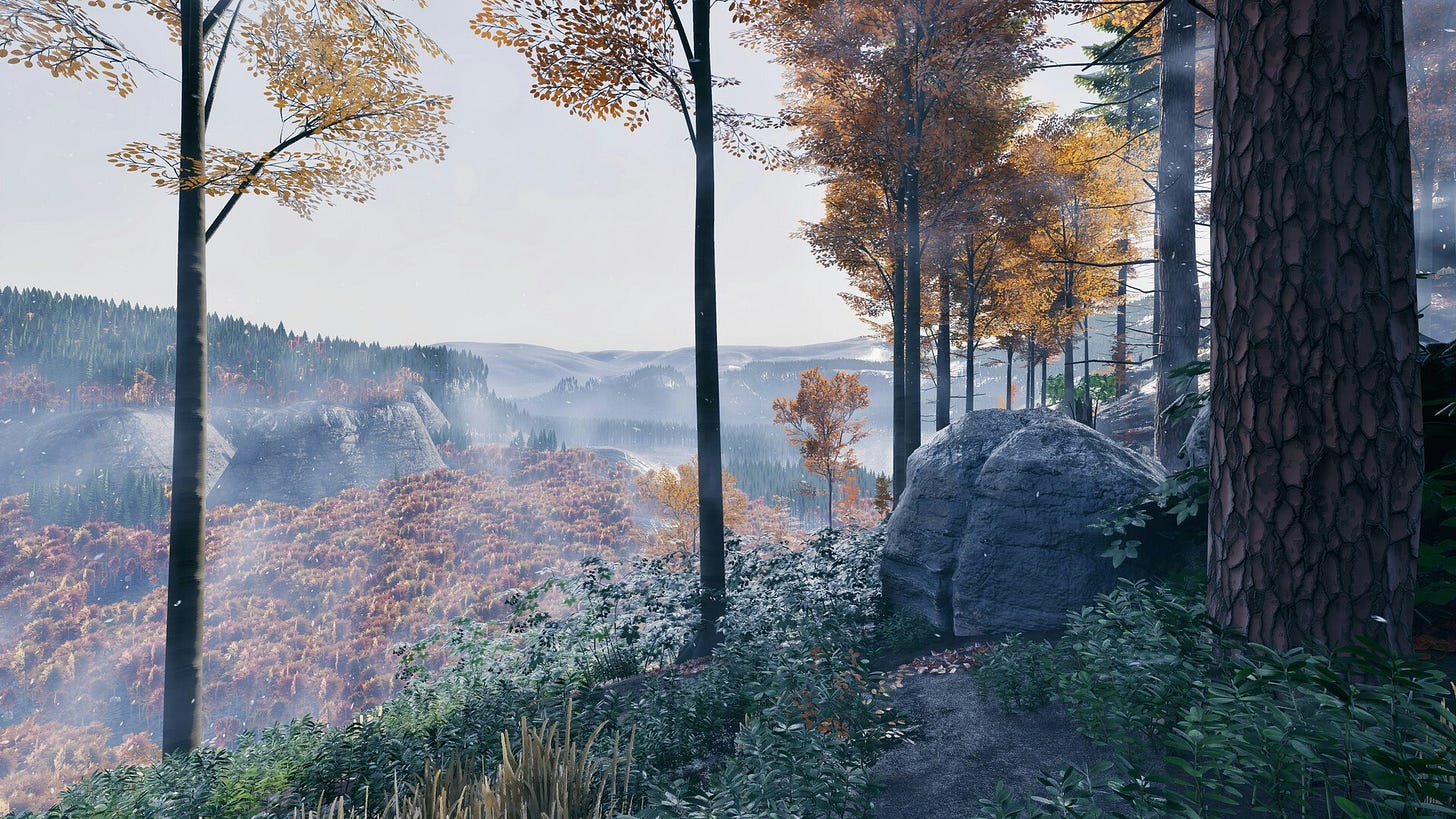 A screenshot of a wooded valley extending beyond a clearing.