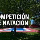 Competición de Natación 2026
