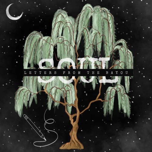 Letters from the Bayou 