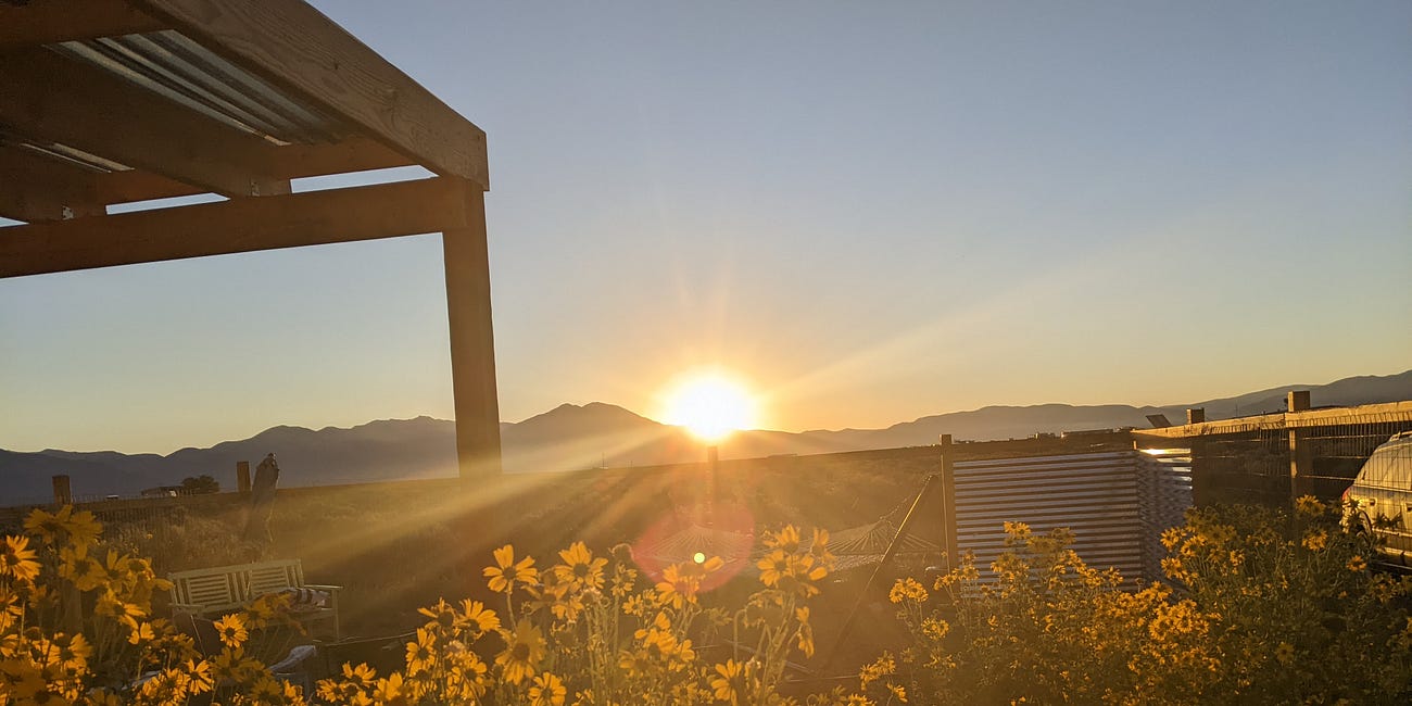 Ways to Absorb the Abundance of Summer Solstice
