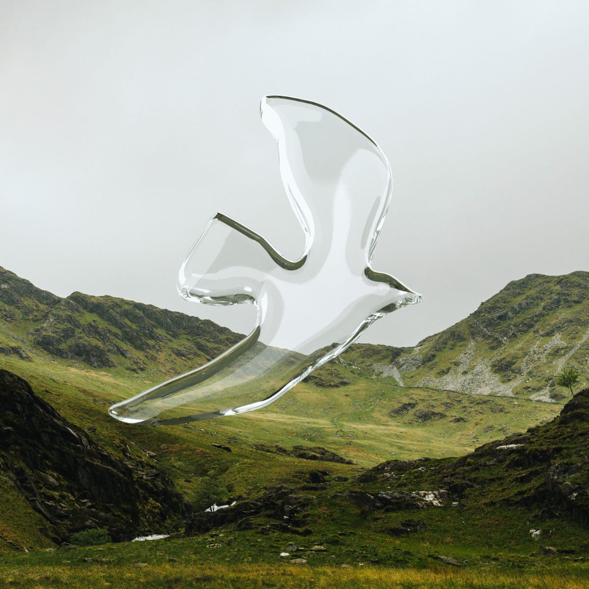 The Garden Publication